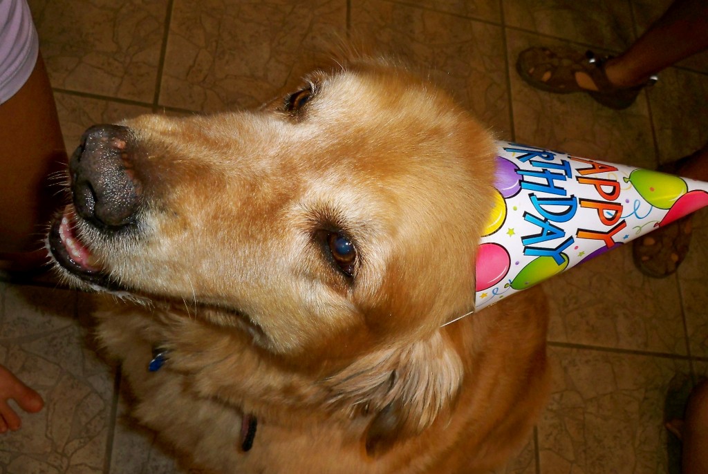 Birthday Boy!