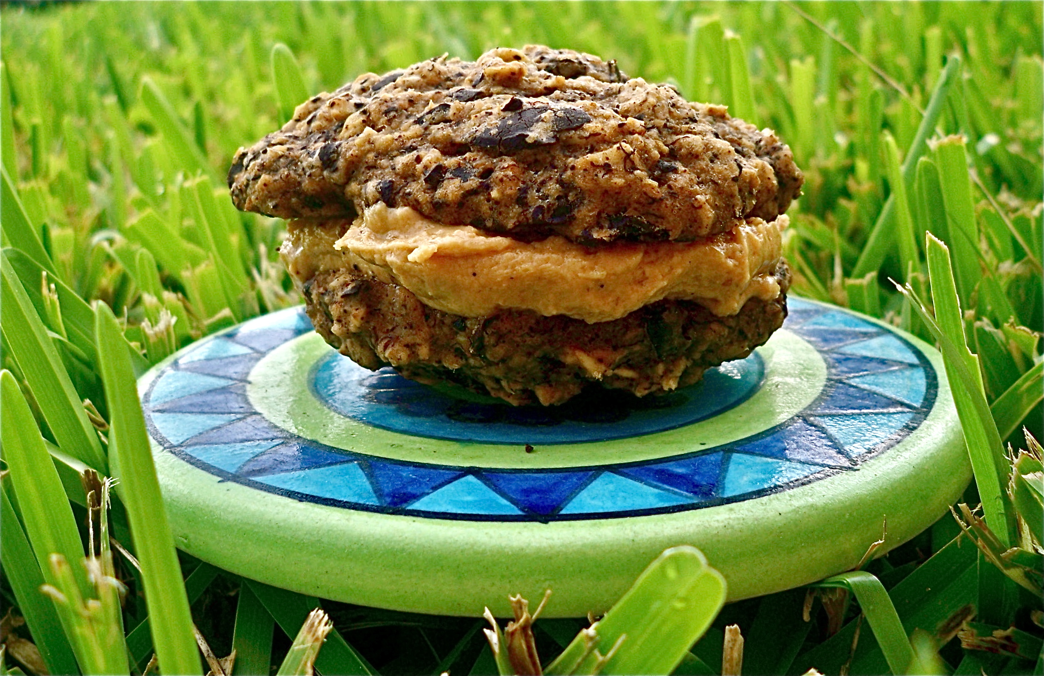 Fluffy Banana Chocolate Chunk Cookies
