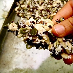 Raw Coconut Iced Bark