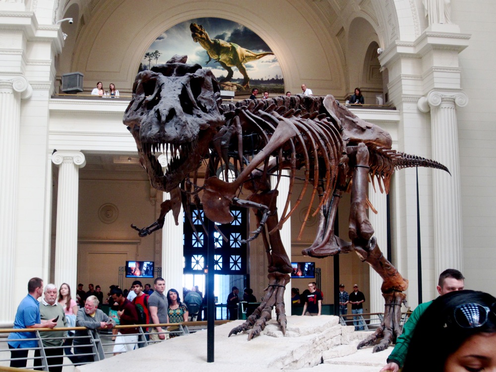 Sue Trex