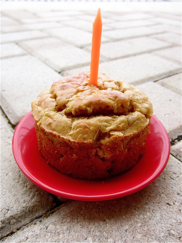 Grain-Free Peanut Butter Apple Doggy Cake