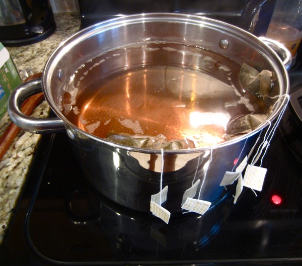 Kombucha