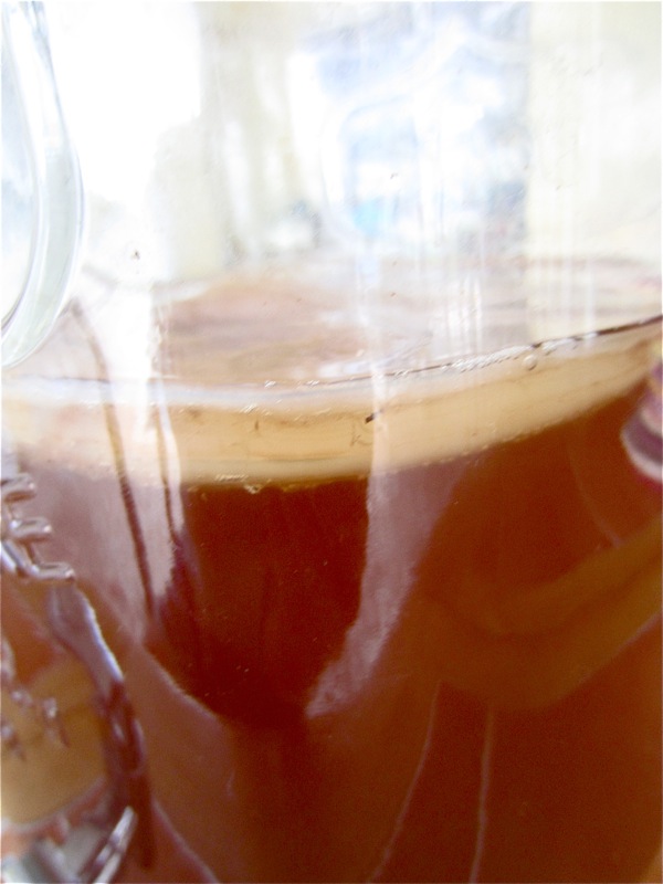 Kombucha