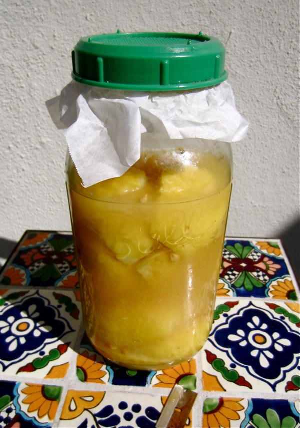 Preserved Moroccan Lemons