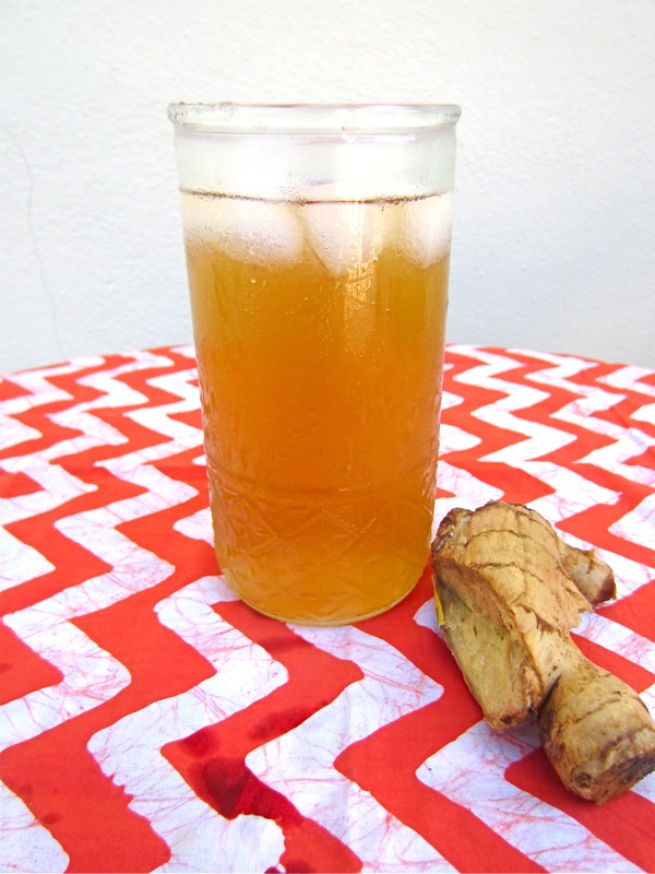Kombucha